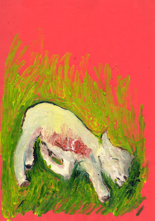 wounded