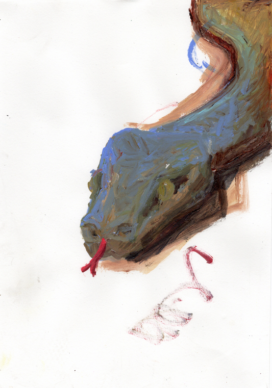 snake study