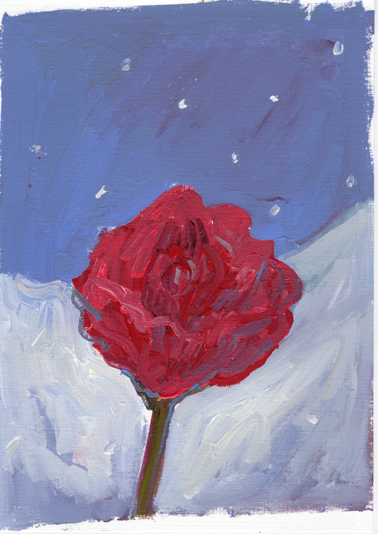 my beautiful rose